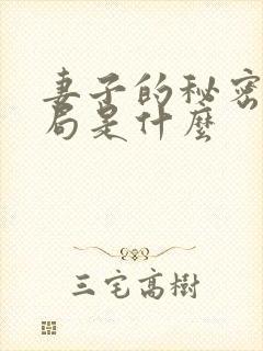 妻子的秘密大结局是什么