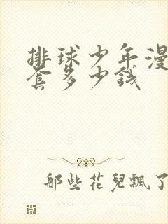 排球少年漫画全套多少钱