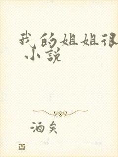 我的姐姐很弟控 小说