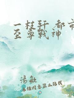 一枝轩 都市之至尊战神