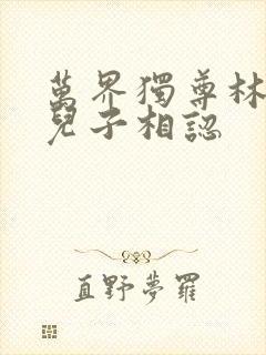 万界独尊林枫和儿子相认