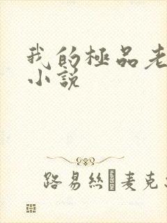 我的极品老婆 小说