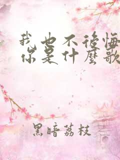 我也不后悔遇见你是什么歌