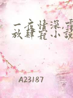 一夜情深,霍少放肆宠小说免费阅读