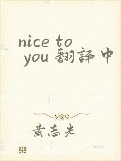 nice to you 翻译中文