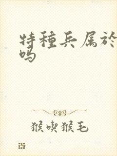 特种兵属于陆军吗