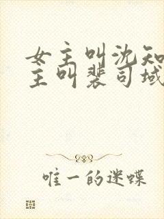 女主叫沈知意男主叫裴司域的小说