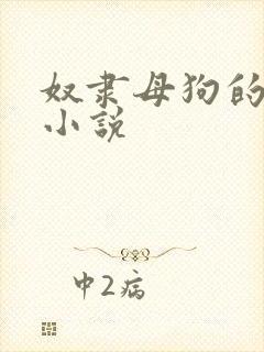 奴隶母狗的调教小说
