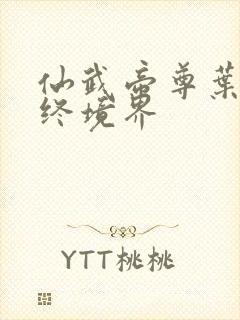 仙武帝尊叶辰最终境界