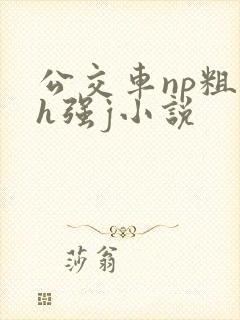 公交车np粗暴h强j小说