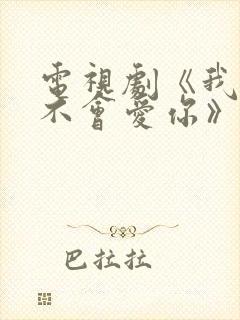 电视剧《我可能不会爱你》