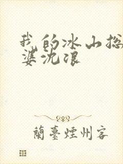 我的冰山总裁老婆沈浪