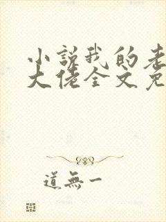 小说我的老公是大佬全文免费阅读