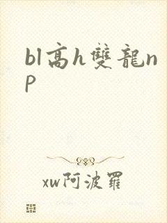 bl高h双龙np