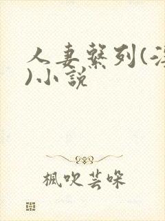 人妻系列(淫篇)小说