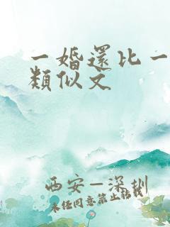 一婚还比一婚高类似文