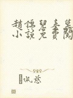 赵锦儿秦慕修的小说免费阅读全文