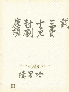 尘封十三载 电视剧免费