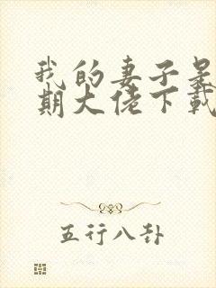 我的妻子是大乘期大佬下载