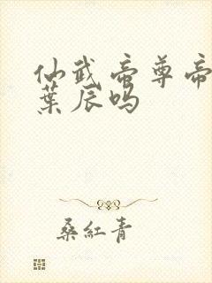 仙武帝尊帝荒是叶辰吗