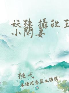 妖殊 摄政王的小闲妻