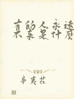 有的人永远也回不来是什么歌