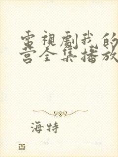 电视剧我的特一营全集播放