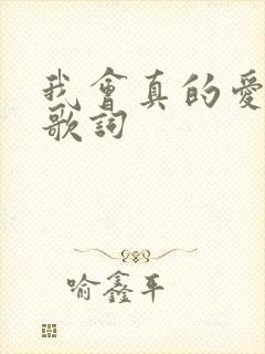 我会真的爱上你歌词