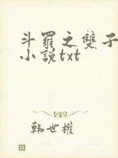 斗罗之双子斗罗小说txt