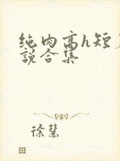 纯肉高h短篇小说合集