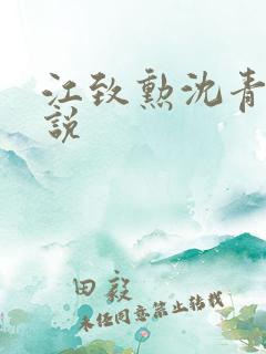 江致勋沈青青小说