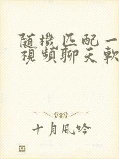 随机匹配一对一视频聊天软件