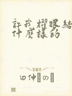 许我耀眼结局是什么样的