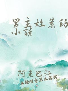 男主姓叶的现代小说