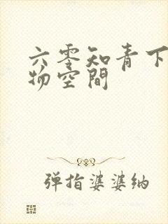 六零知青下乡储物空间