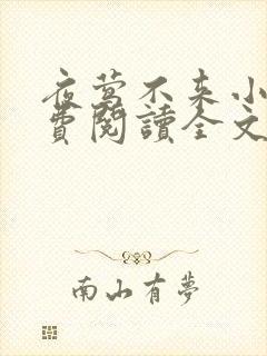 夜莺不来小说免费阅读全文无弹窗