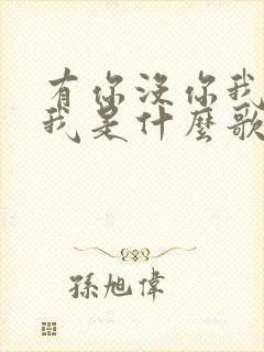 有你没你我都是我是什么歌