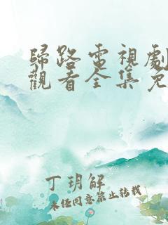 归路电视剧在线观看全集免费播放