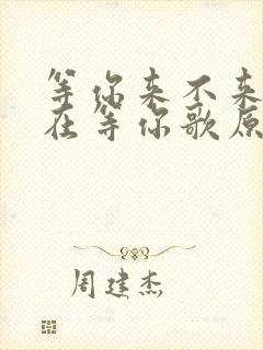 等你来不来我都在等你歌原唱