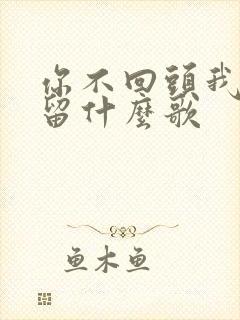 你不回头我不挽留什么歌