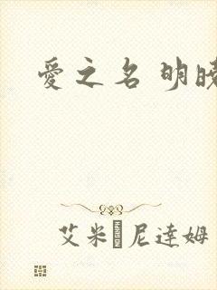 爱之名 明晓溪