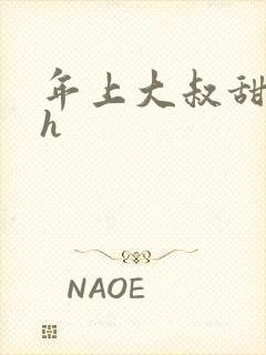 年上大叔甜宠文h