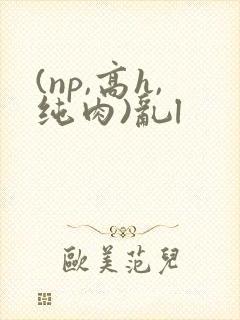 (np,高h,纯肉)乱l