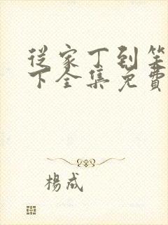 从家丁到笑傲天下全集免费