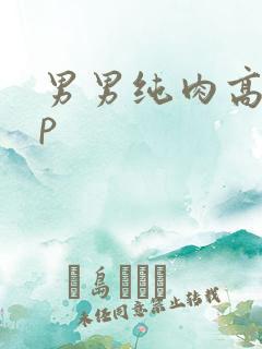 男男纯肉高hnp