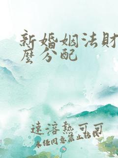 新婚姻法财产怎么分配