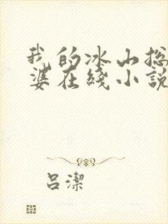 我的冰山总裁老婆在线小说