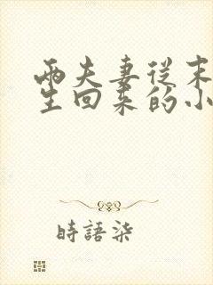 两夫妻从末世重生回来的小说