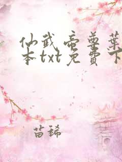 仙武帝尊叶辰全本txt免费下载