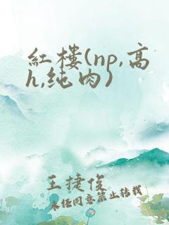 红楼(np,高h,纯肉)